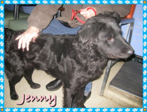 Jenny