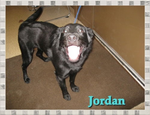 Jordan~Pending!