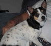 Katie - ADOPTED 06.03.12