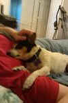 Katie - ADOPTED 06.03.12