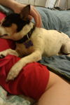 Katie - ADOPTED 06.03.12