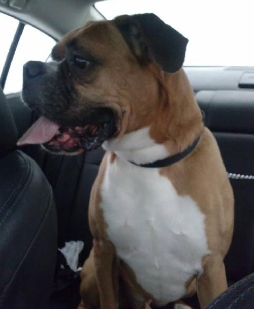 King-ADOPTED 01.28.14
