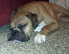 King-ADOPTED 01.28.14