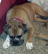 King-ADOPTED 01.28.14