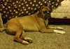 King-ADOPTED 01.28.14