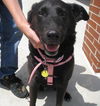 Marcia - ADOPTED 10.03.09