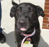 Marcia - ADOPTED 10.03.09