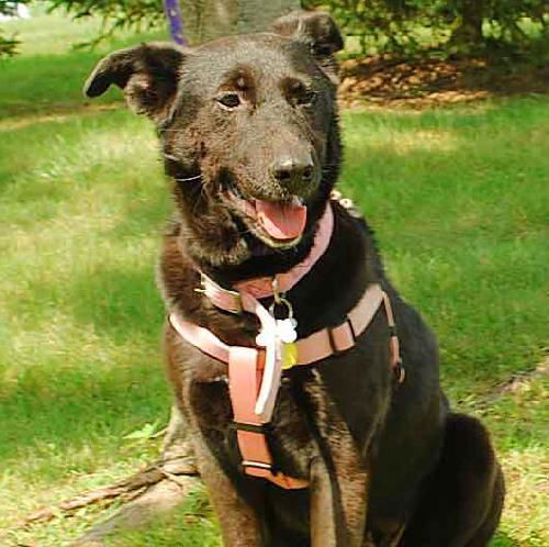 Marcia - ADOPTED 10.03.09