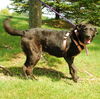 Marcia - ADOPTED 10.03.09