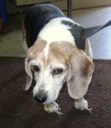 Marcy May~URGENT!