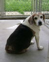 Marcy May~URGENT!
