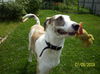 Marlaina - ADOPTED 02.06.10