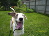 Marlaina - ADOPTED 02.06.10