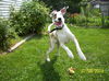 Marlaina - ADOPTED 02.06.10