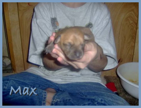 Max