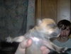 Max