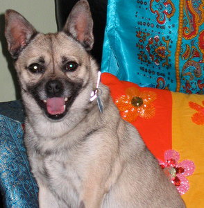 Maya
