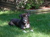 Merlin-PENDING!