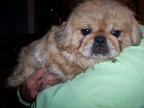 Ming~Pending