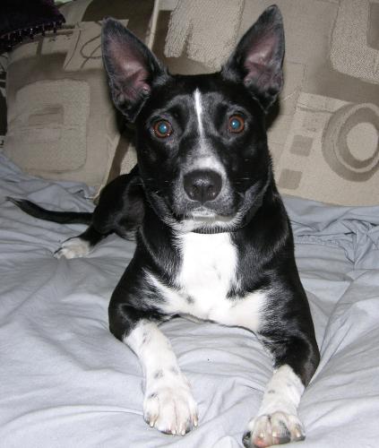 Molly