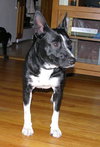 Molly