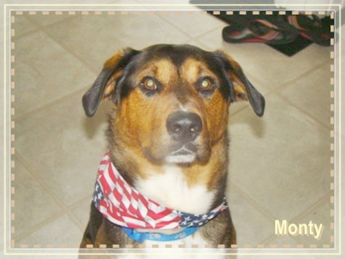 Monty