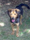 Murphy