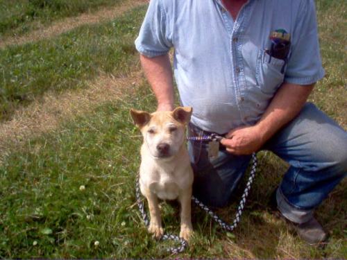 Ozzy - ADOPTED