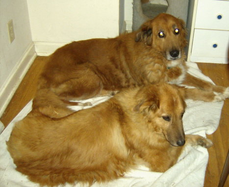 Princess & Lady-ADOPTED-6.9.09