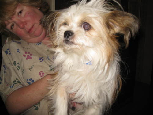 Polo - ADOPTED