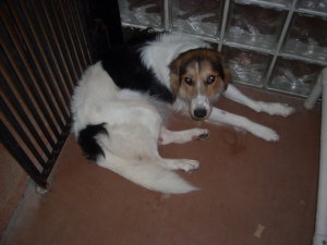 Prudence