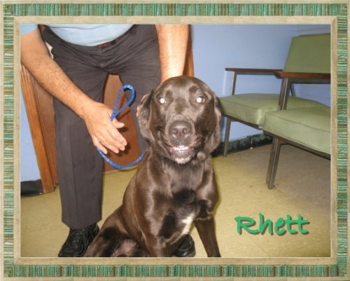 Rhett
