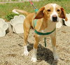 Riley - ADOPTED 07.31.09