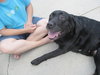 Riley Girl