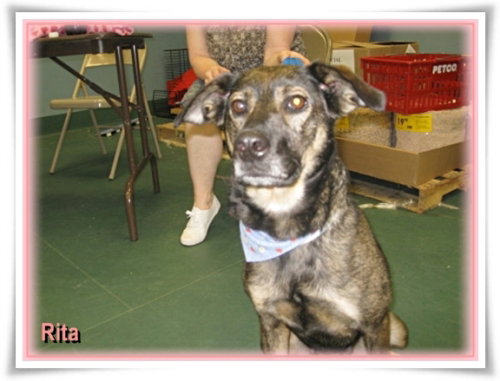Rita