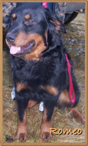 Romeo