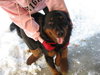 Romeo