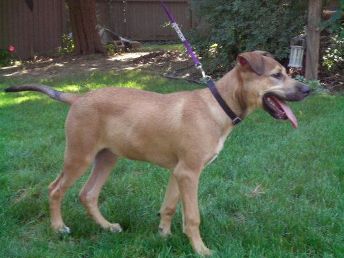 Roxanne