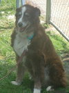 Roxie