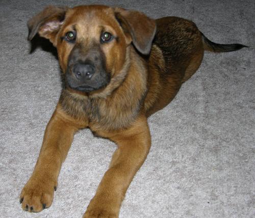 Roxy