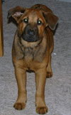 Roxy