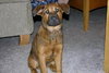 Roxy