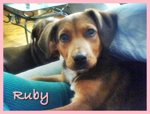 Ruby
