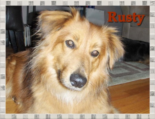 Rusty