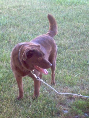 Rusty
