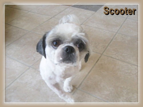 Scooter