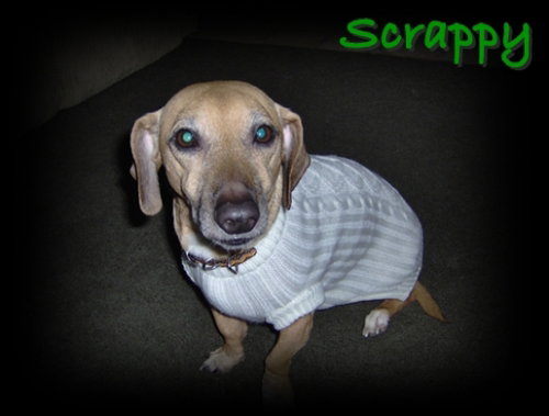 Scrappy