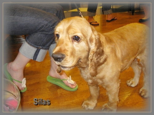 Silas