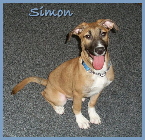 Simon