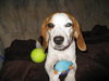 Skye- ADOPTED